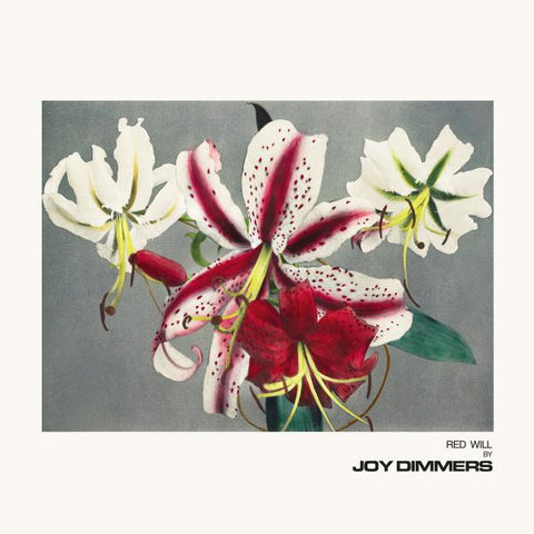 Joy Dimmers | Red Will - Clear Vinyl