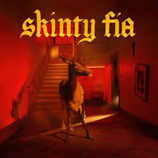 Fontaines D.C. | Skinty Fia