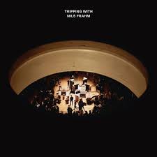 Nils Frahm | Tripping With Nils Frahm
