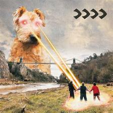 Beak> | >>>>
