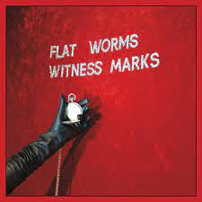 Flat Worms | Witness Marks