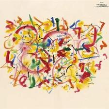Ty Segall | Love Rudiments