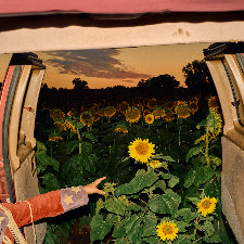 Kevin Morby | Little Wide Open - Eco-Mix Vinyl