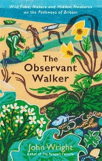 John Wright | The Observant Walker