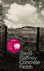 David Gaffney | Concrete Fields