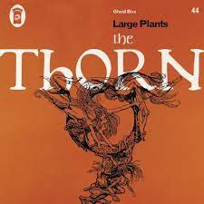 Large Plants | The Thorn
