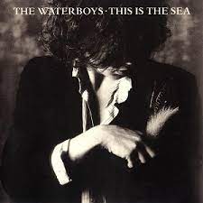 The Waterboys | This Is The Sea - Clear Vinyl