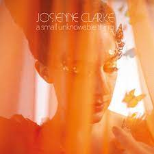 Josienne Clarke | A Small Unknowable Thing  - Splatter Vinyl