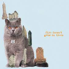 The Brian Jonestown Massacre | Fire Doesn't Grow On Trees