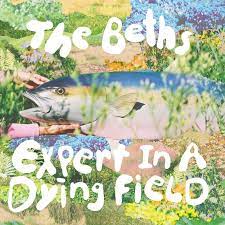 The Beths | Expert In A Dying Field - Yellow Vinyl