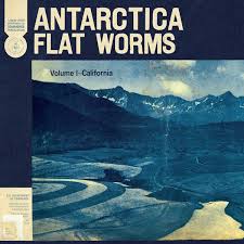 Flat Worms | Antarctica