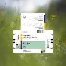 Spiritualized | Everything Was Beautiful - Japanese Version