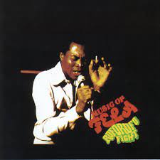 Fela Kuti | Roforofo Fight - Green & Orange Vinyl