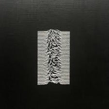 Joy Division | Unknown Pleasures